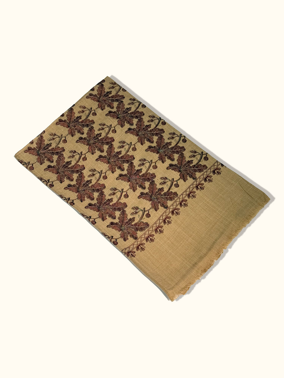 Zarveen Zari Embroidered Jaal Pashmina Shawl
