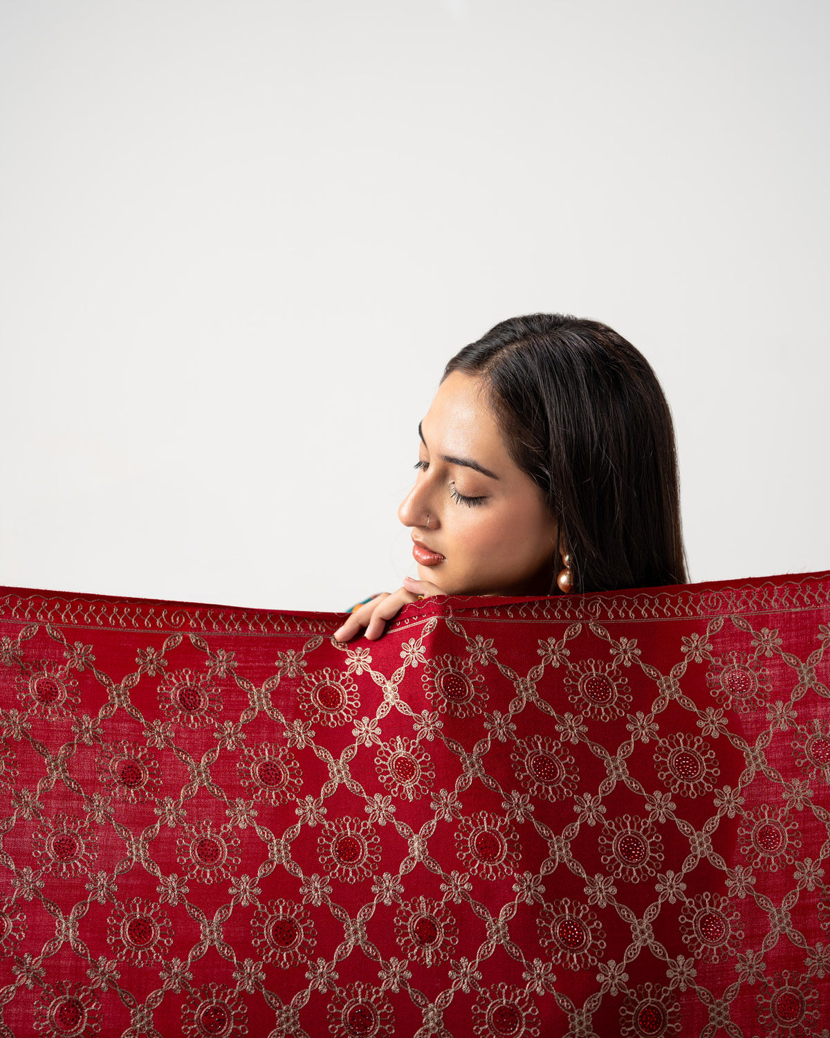 Gul-e-Shahnaaz Stone Embroidered Jaal Pashmina Shawl