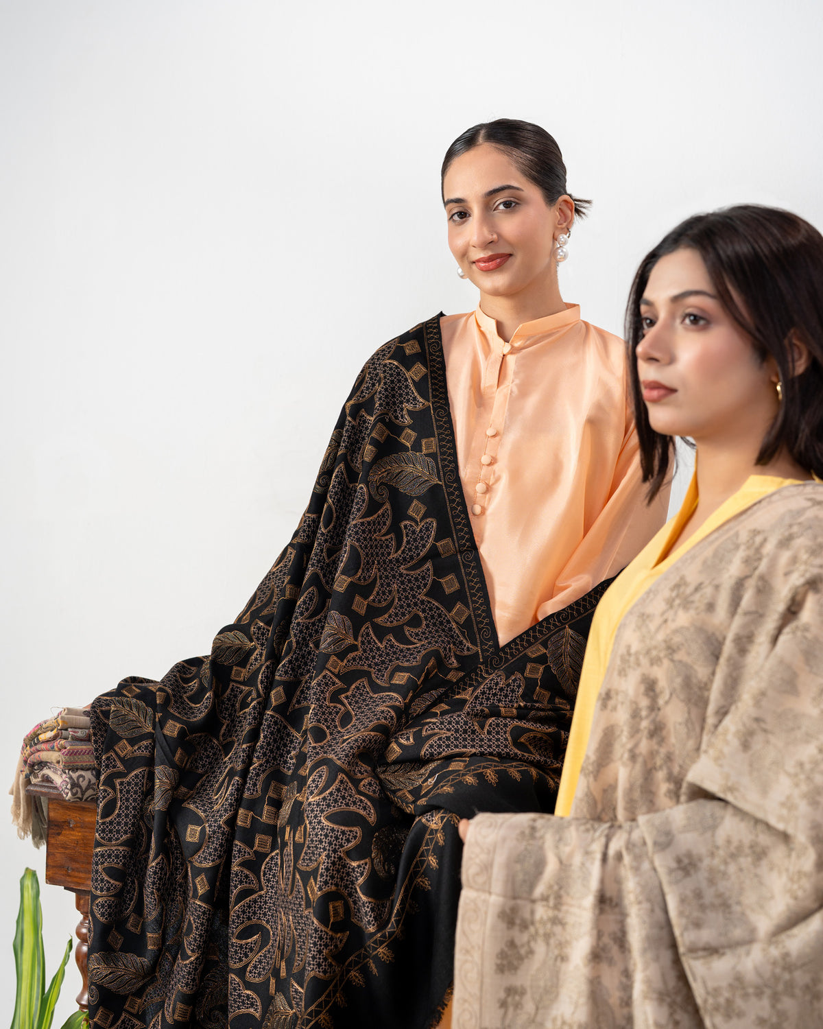 Luxury Two-Colour Embroidered Jaal Pashmina Shawl