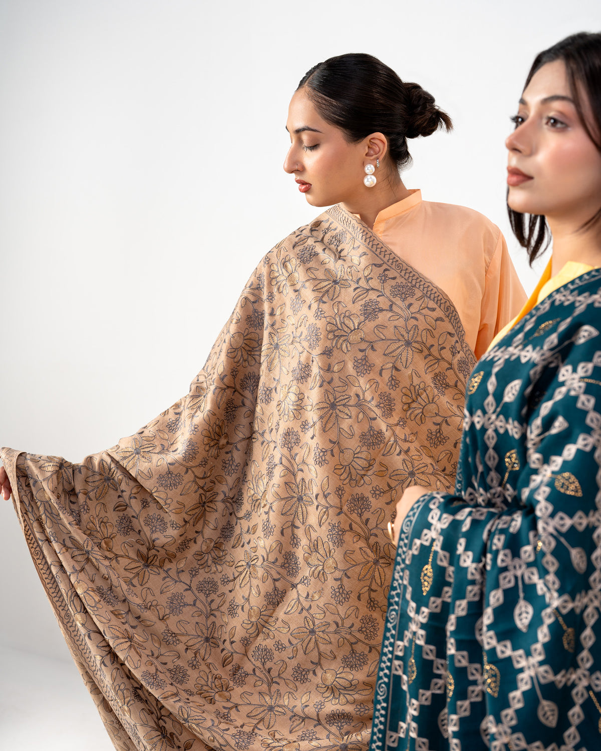 Gulrez Dual-Tone Embroidered Jaal Pashmina Shawl
