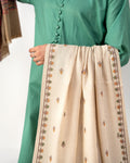 Afsana Signature Border Embroidered Pashmina Shawl