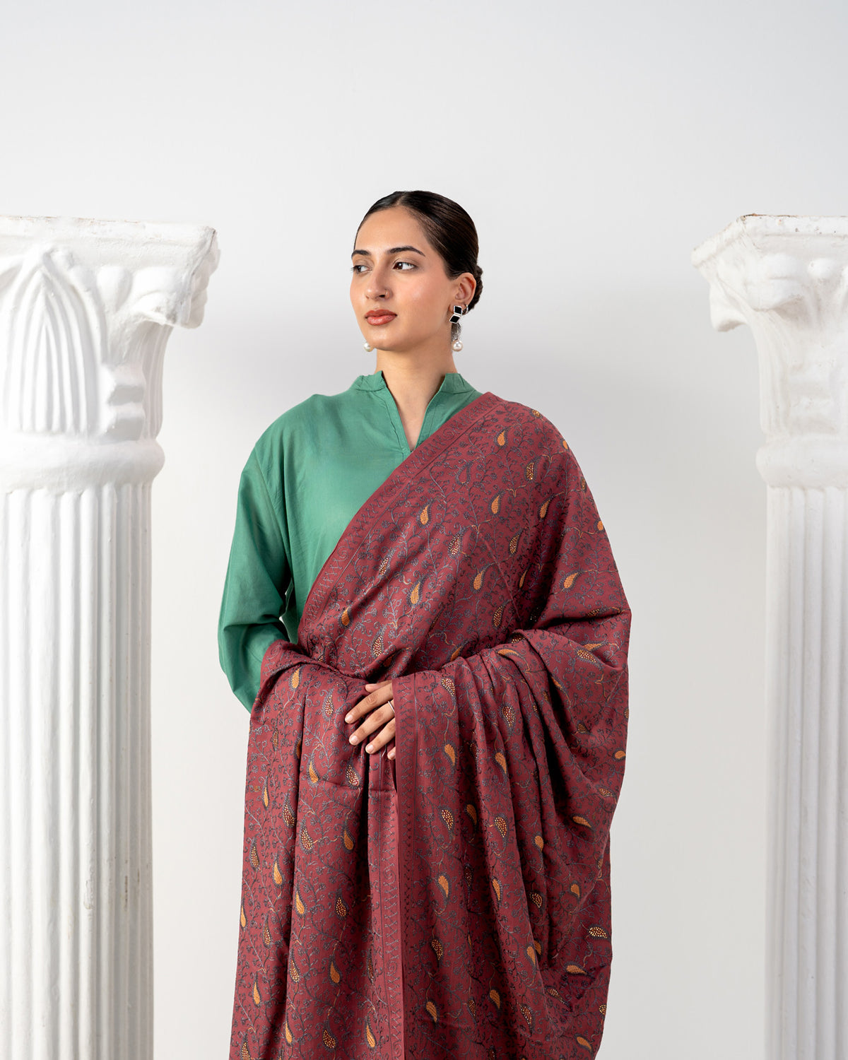 Zareen Jaal Pashmina Shawl with Stone Work