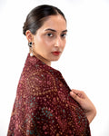 Rang-e-Riwaayat Handmade Sui Needle Work Jaal Pashmina Shawl