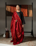 Nafees Handmade Sui Needle Work Jaal Pashmina Shawl